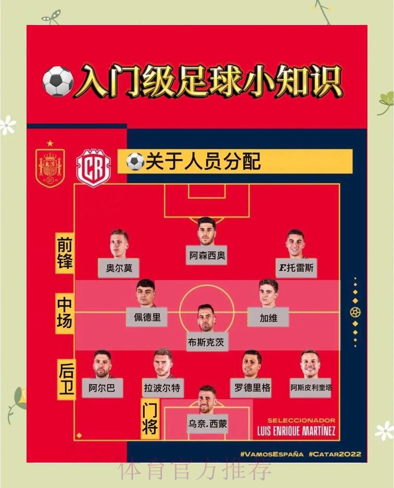 全面解析世界杯外围平台玩法与安全性指南